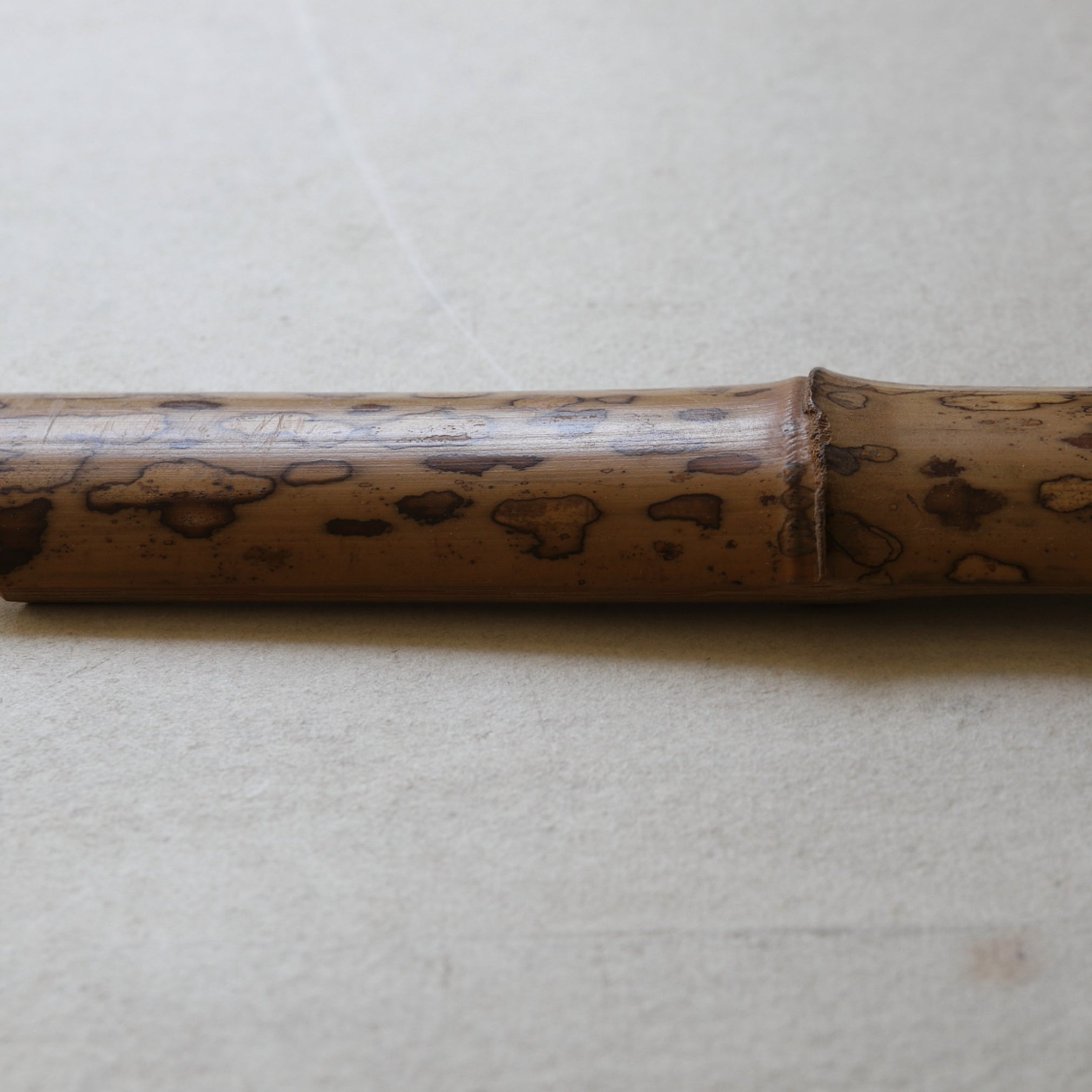 Old bamboo Tea-Leaf Scoop 19th-20th century