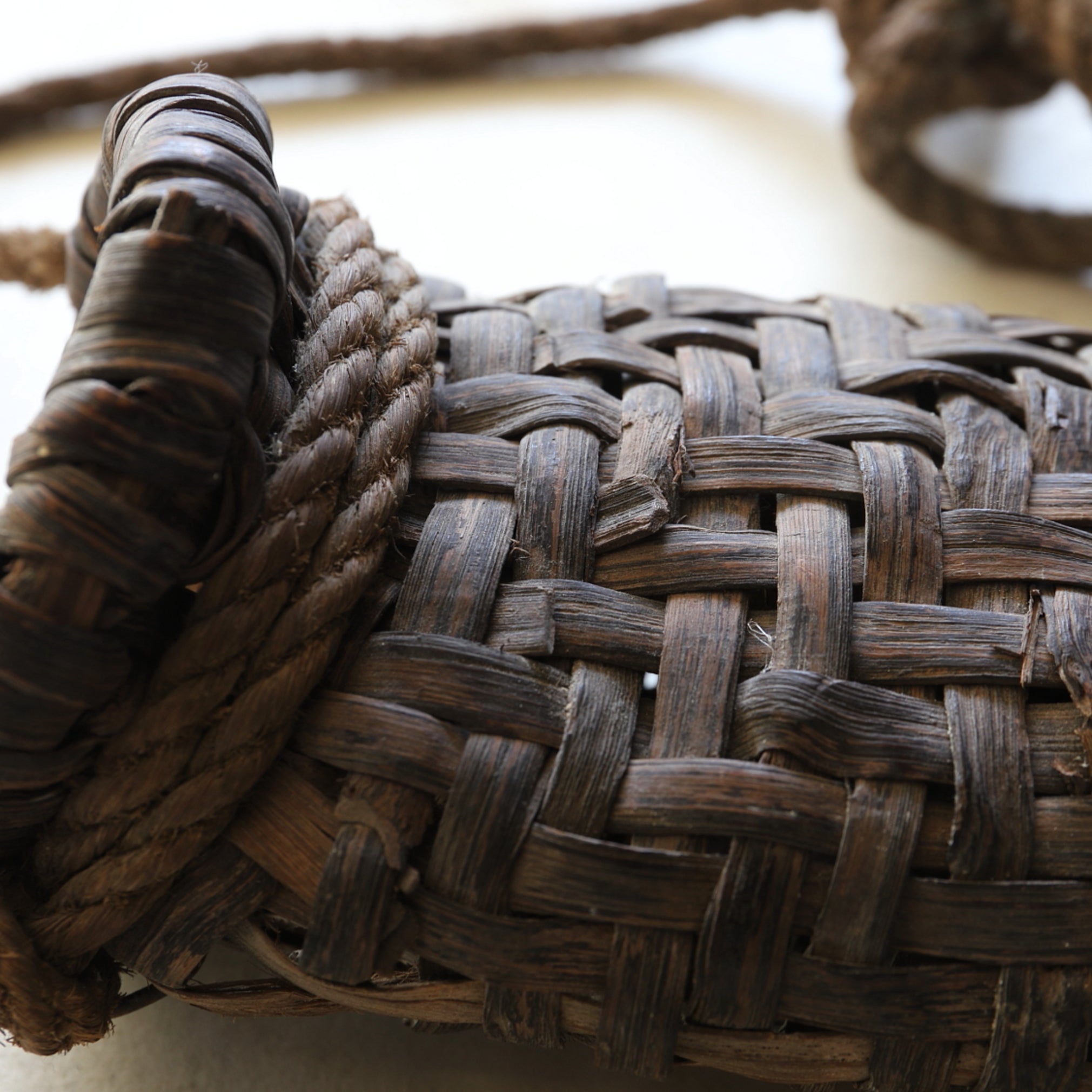 Old hanging vase of wild grapes