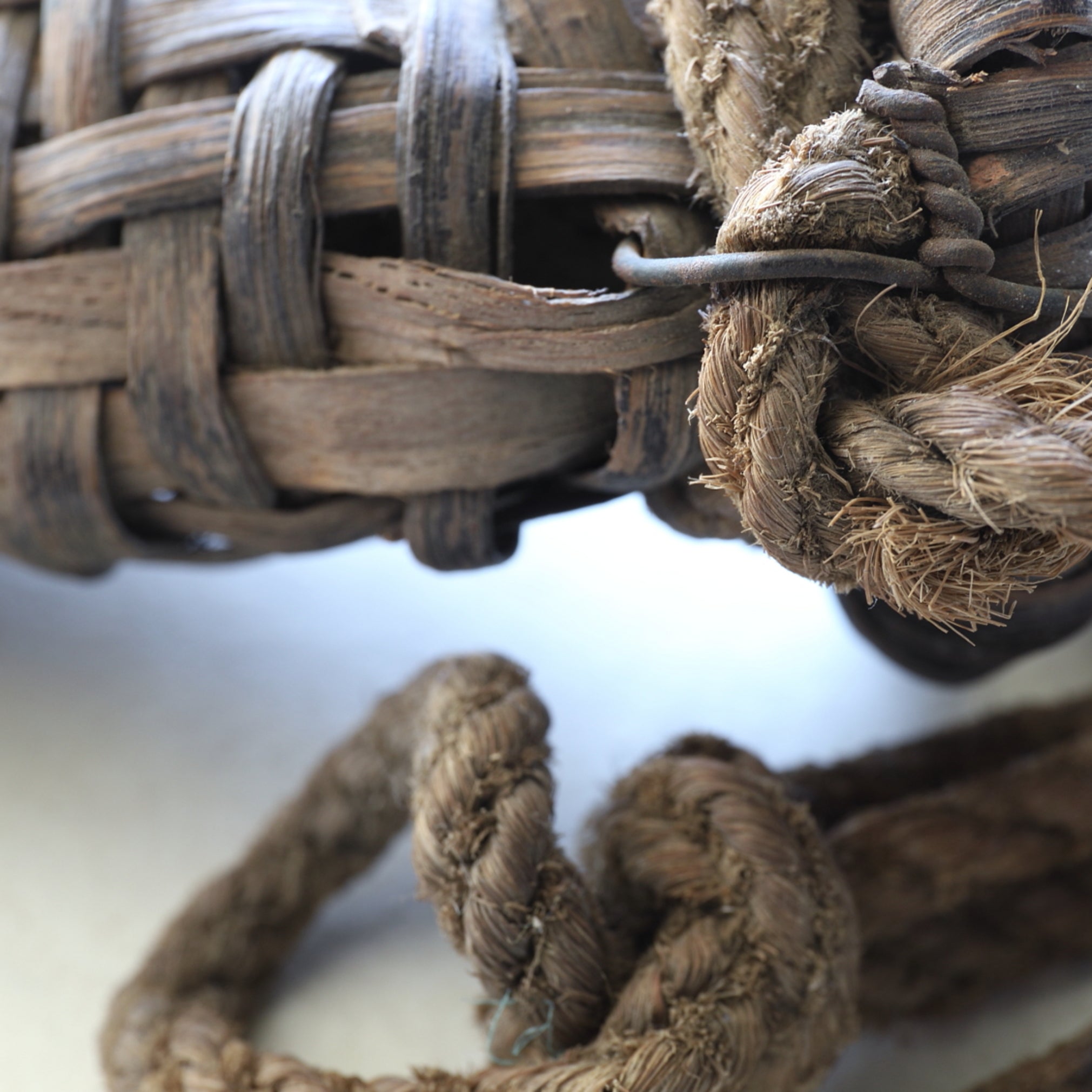 Old hanging vase of wild grapes