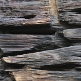 Withered Funaita Hanashiki Old wood