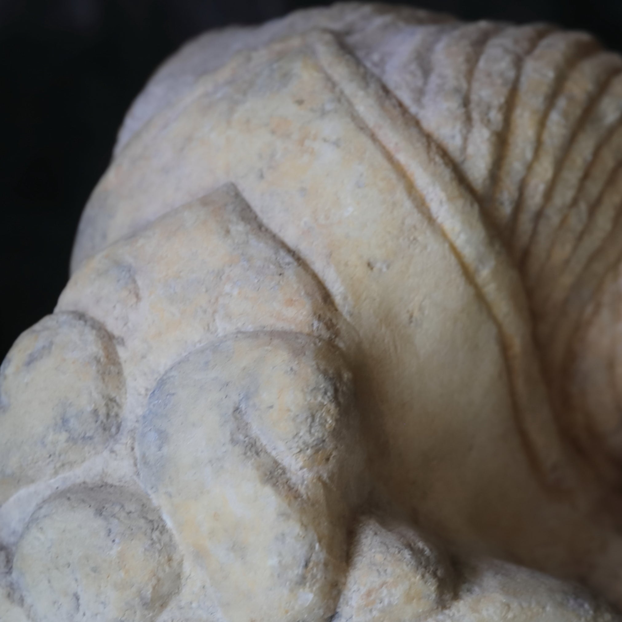 Hokusai White Jade Buddha Head 3rd-12th centuries