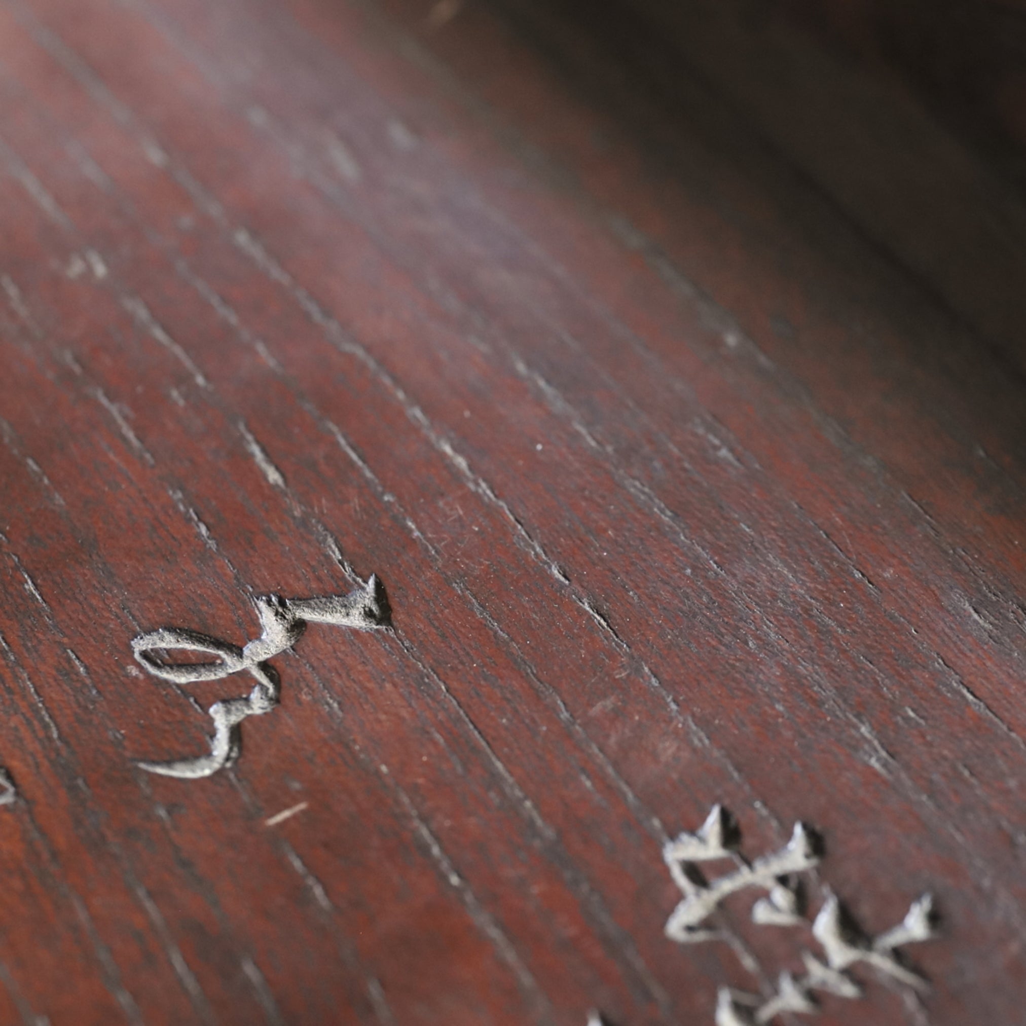 Sencha tray with lotus leaf frog design