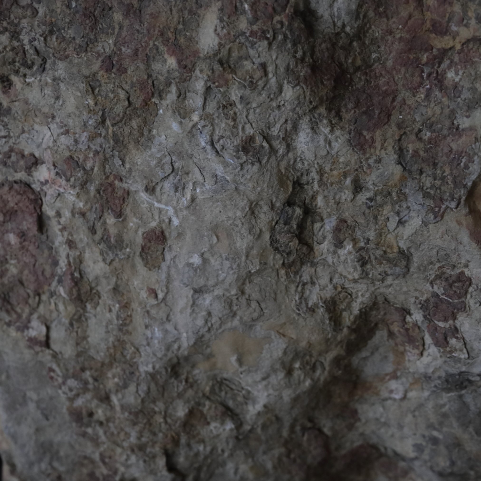 Northern Wei Cave Buddhas Cliff Buddhas 3rd-12th centuries