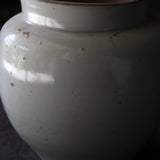 Koimari white porcelain jar Edo/1603-1867CE