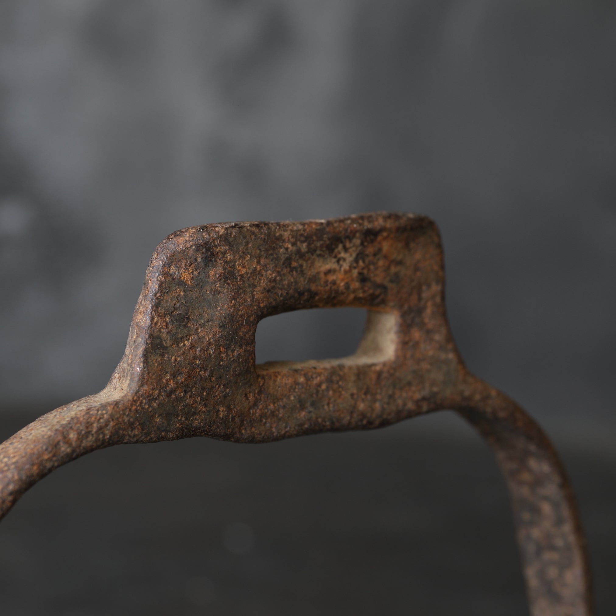 Rust ron stirrup