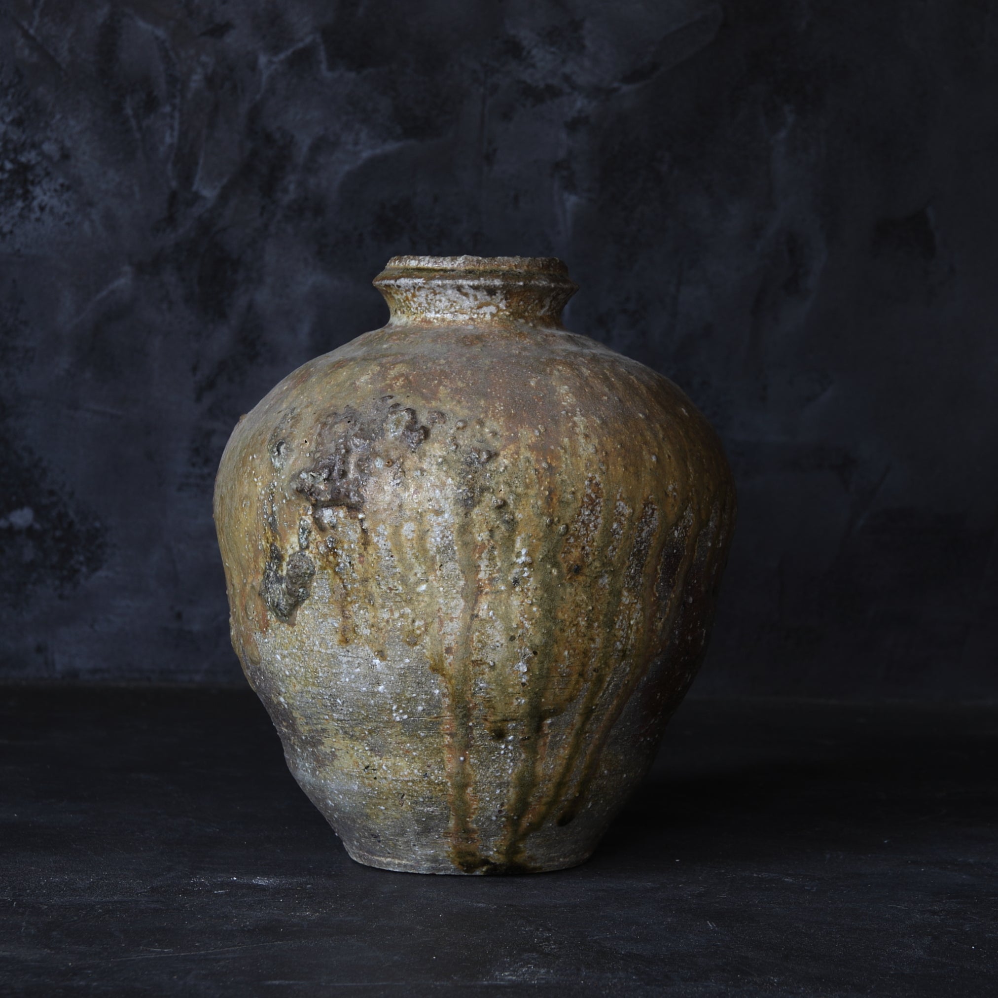 Vintage Shigaraki Jar Edo/1603-1867CE