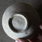 Ko-Seto excavated bottle