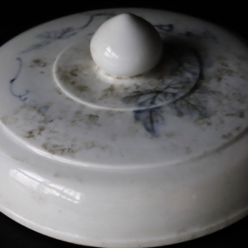 Korean Antique white porcelain celadon vase with grape pattern lid Joseon Dynasty/1392-1897CE